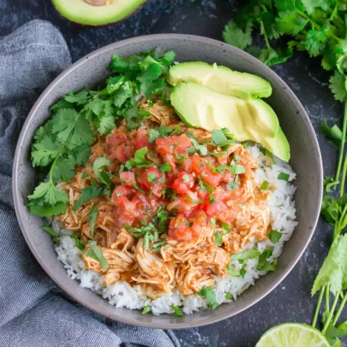 Instant Pot Chicken: A Flavorful and Easy Delight 1 Instant Pot chicken served with rice and salsa