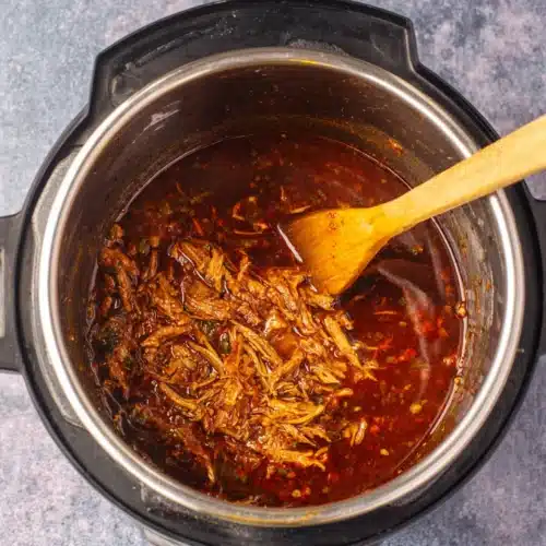 birria tacos