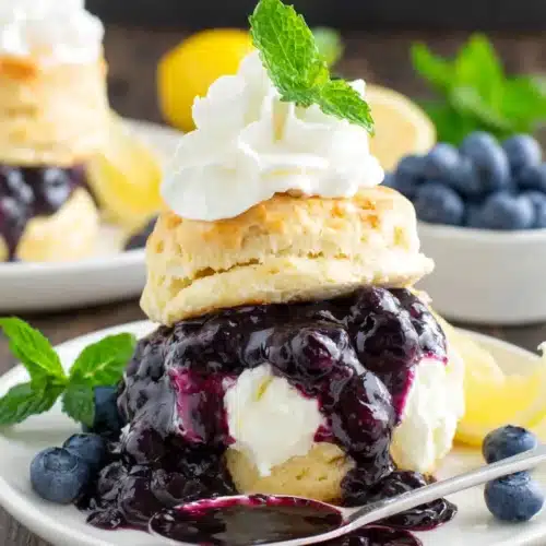 Blueberry Shortcake: A Delightful Summer Treat 1 Blueberry shortcake with vanilla ice cream, blueberry sauce, and mint garnish