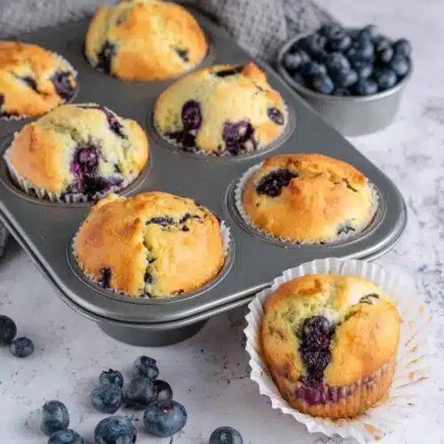 Sourdough Blueberry Muffins: Irresistibly Fluffy and Delicious 1 Sourdough blueberry muffins in a tin with fresh blueberries scattered around
