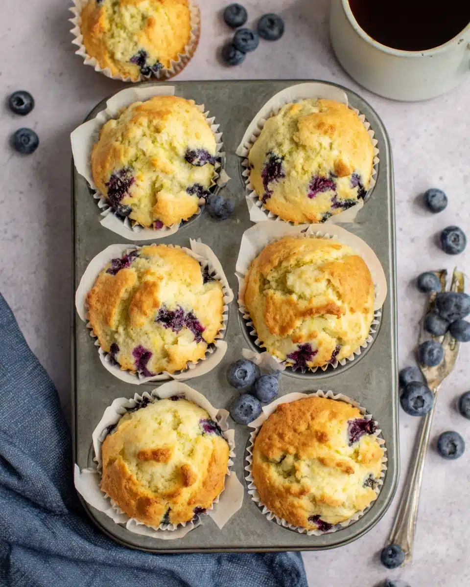 Sourdough Blueberry Muffins in Tin with Fresh Berries Sourdough blueberry muffins in a tin with fresh blueberries scattered around